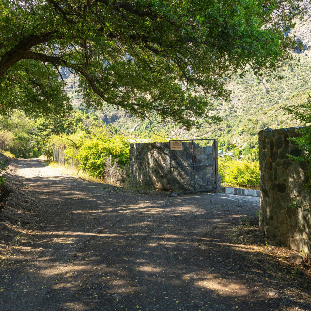 Domo Piedra Ciruelo - Rincón Andino