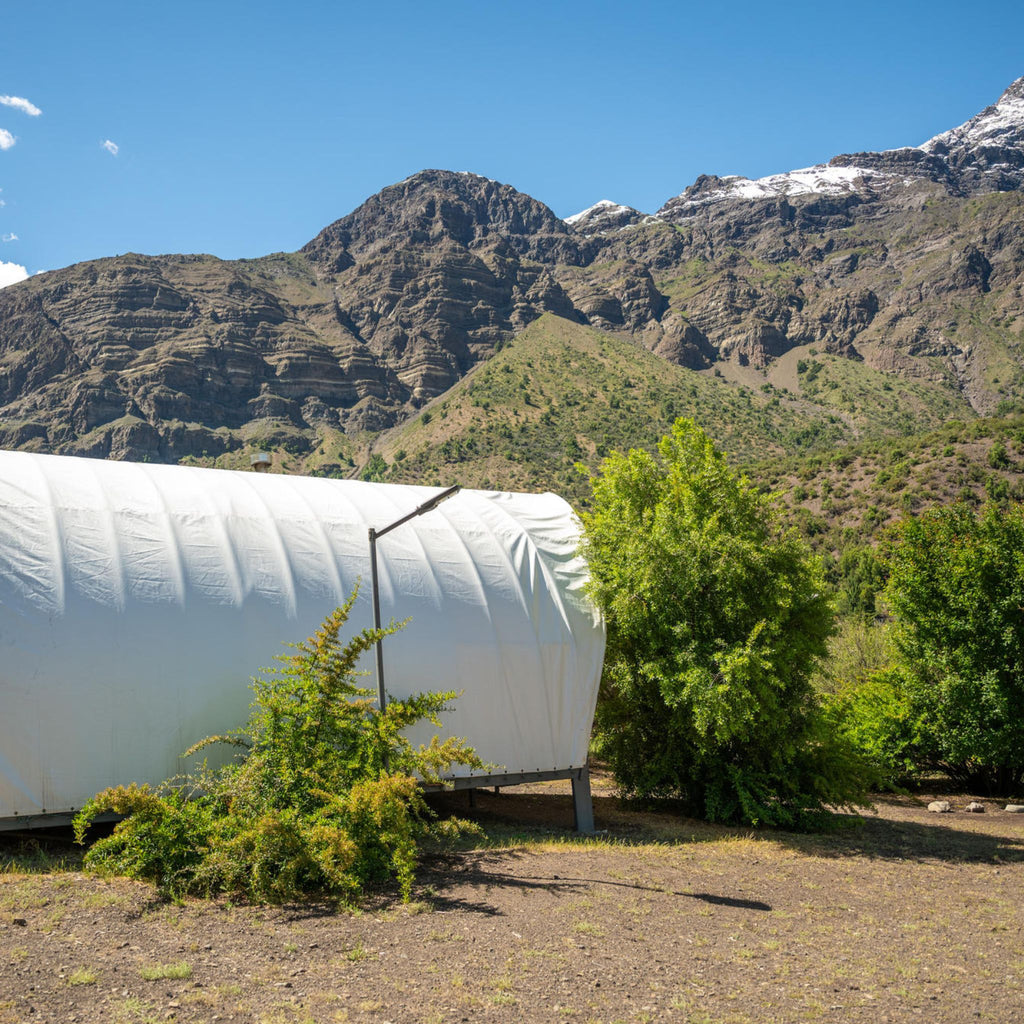 Domo Hangar Nogal - Rincón Andino